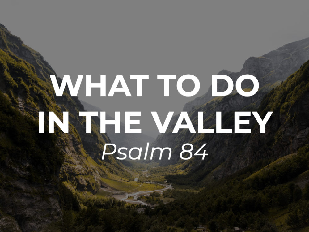 What to do in the Valley